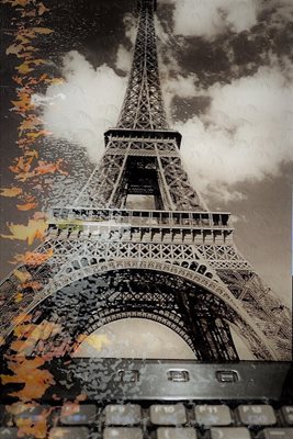 קולאז' אייפל עם עלים בגוון חום 008-00