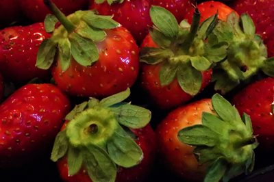 תותים בקערה 3002 - 21