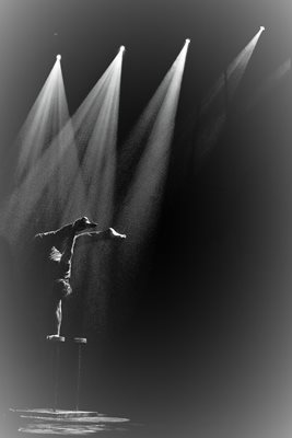 גוונים וצבע בריקוד גוון וונילה ש/ל 411 -83