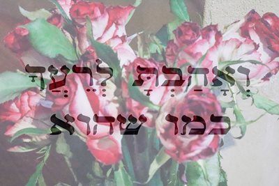 ואהבת לרעך כמו שהוא עם וורדים 122 -00