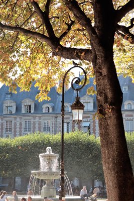 140919_3011 טוב (2)