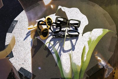 משקפי וינטג' בשילוב עם פרח קאלה