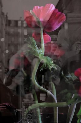 זוגיות עם כלנית אסימטרי 00143