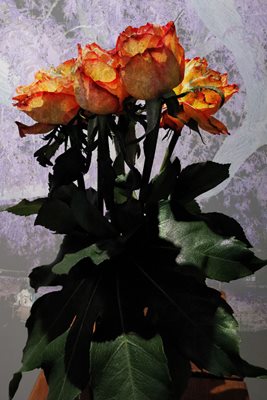 קולאג' וורדים כתומים 00163 גוון שקוף