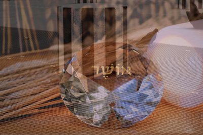 יהלום אושר + יונה 00181