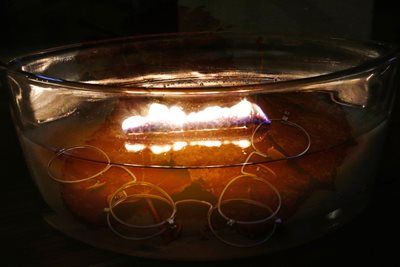 משקפיים וינטג' עם נר 00193 גוון ויויד לייט