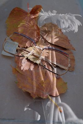 משקפיים וינטג' עם עלי שלכת ופרח 00258