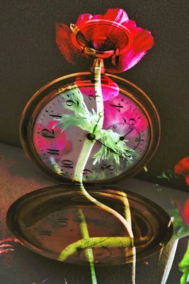 שעון סבא עם כלנית אסימטרית 00263