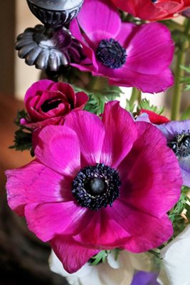 כלניות בוורוד עם פמוט עתיק 8184- 68