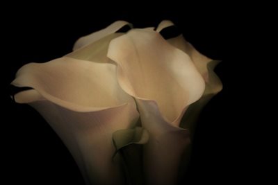 קאלה בלבן 9223 -74 א'