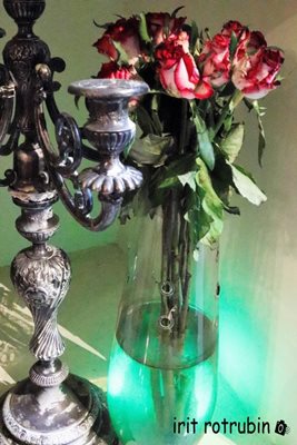 וורדים באגרטל 0235 -76