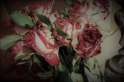 וורדים עם פמוט עתיק 0256 - 76