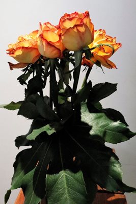 זר שושנים בכתום 5034 -79