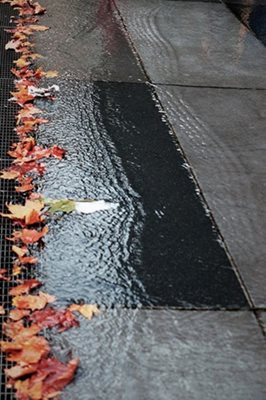 גשם ועלים כתומים בסתיו 3966 -43