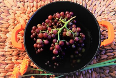 סיר עם אשכולות ענבים אדומים 9531 -63