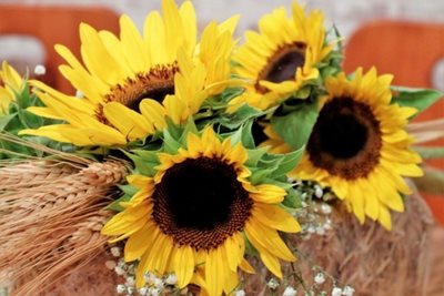 זר חמניות 9130 -27