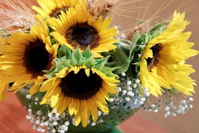 זר חמניות במסננת ירוקה 9093 -27