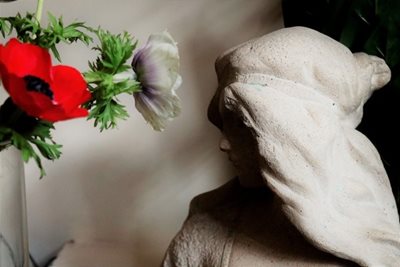 פסל דלילה עם כלנית אדומה 8213 -45