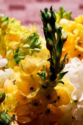 זר פרחים צהוב לבן 8546- 39