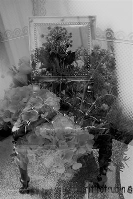 קולאז' כיסא ארמון בשחור לבן 0044- 00