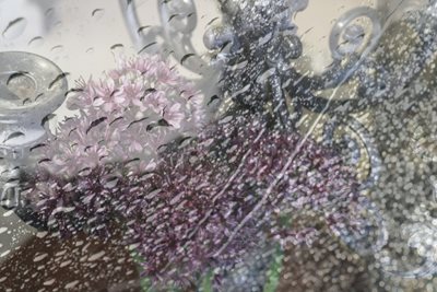 קולאז'-גשם ותלתלי אביב עם פמוט0021 -00