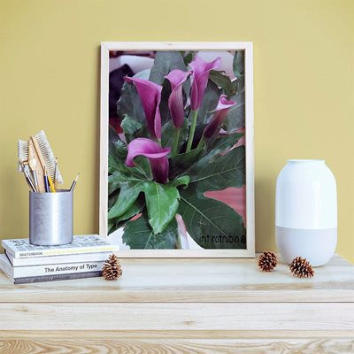 פינת עבודה בשילוב זר קאלה סגול