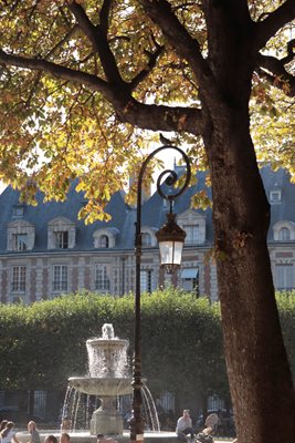 פנס בגינה 3011 -11