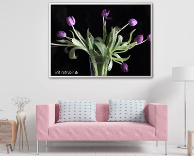 סלון בשילוב תמונה טוליפ סגול