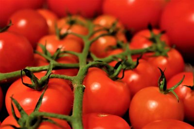 עגבניות אדמדמות 0457 -32