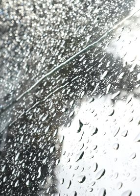 טיפות גשם באפור 1435 -12