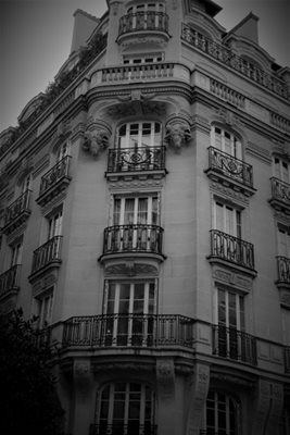 בניין מפוסל שחור לבן 2573 -5