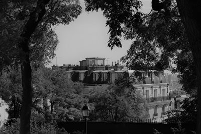 תצפית על גגות מונפרנס שחור לבן 0744 -5